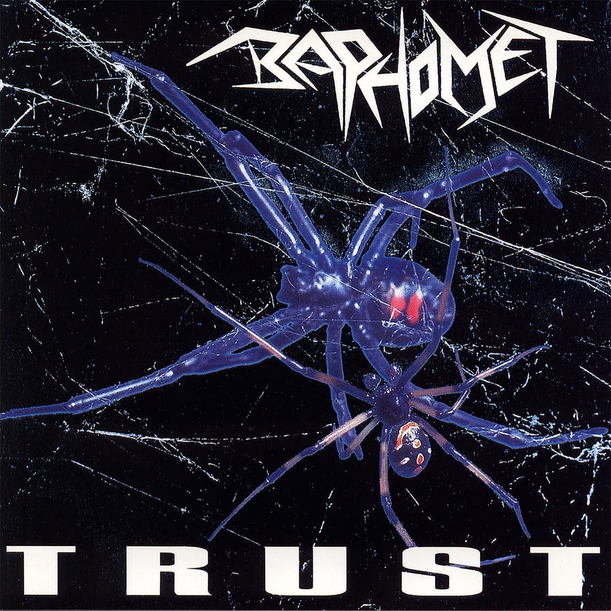 Trust