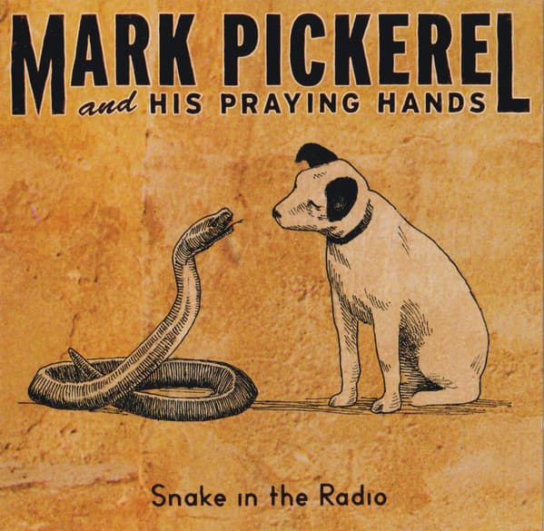 Snake in the Radio