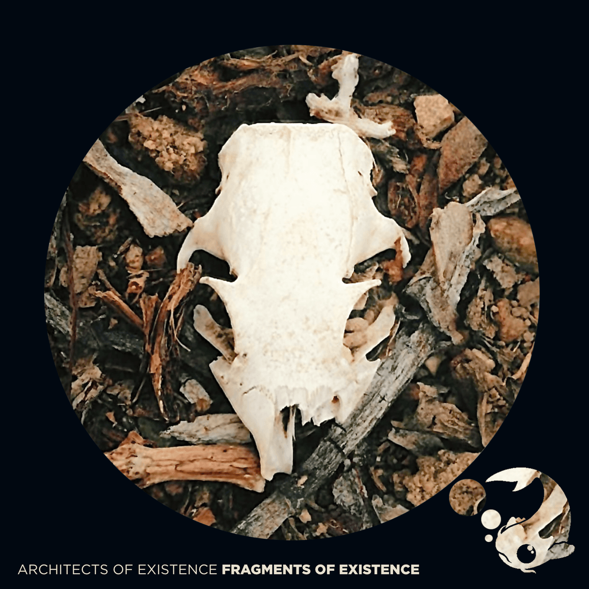 Fragments of Existence