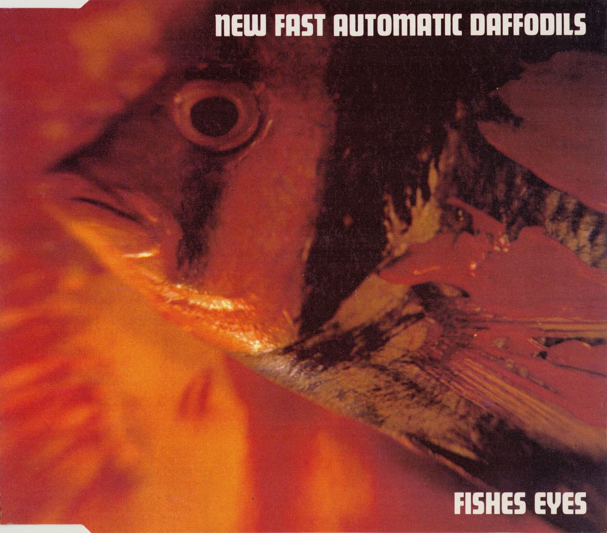 Fishes Eyes