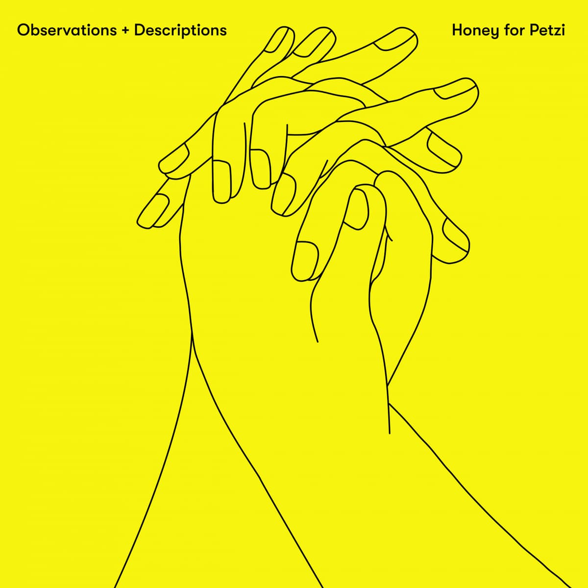 Observations + Descriptions