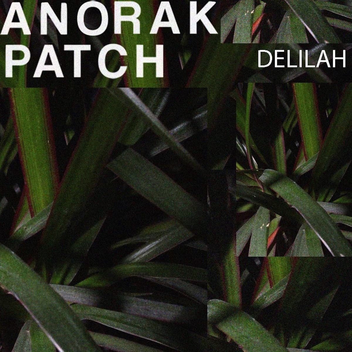 Delilah