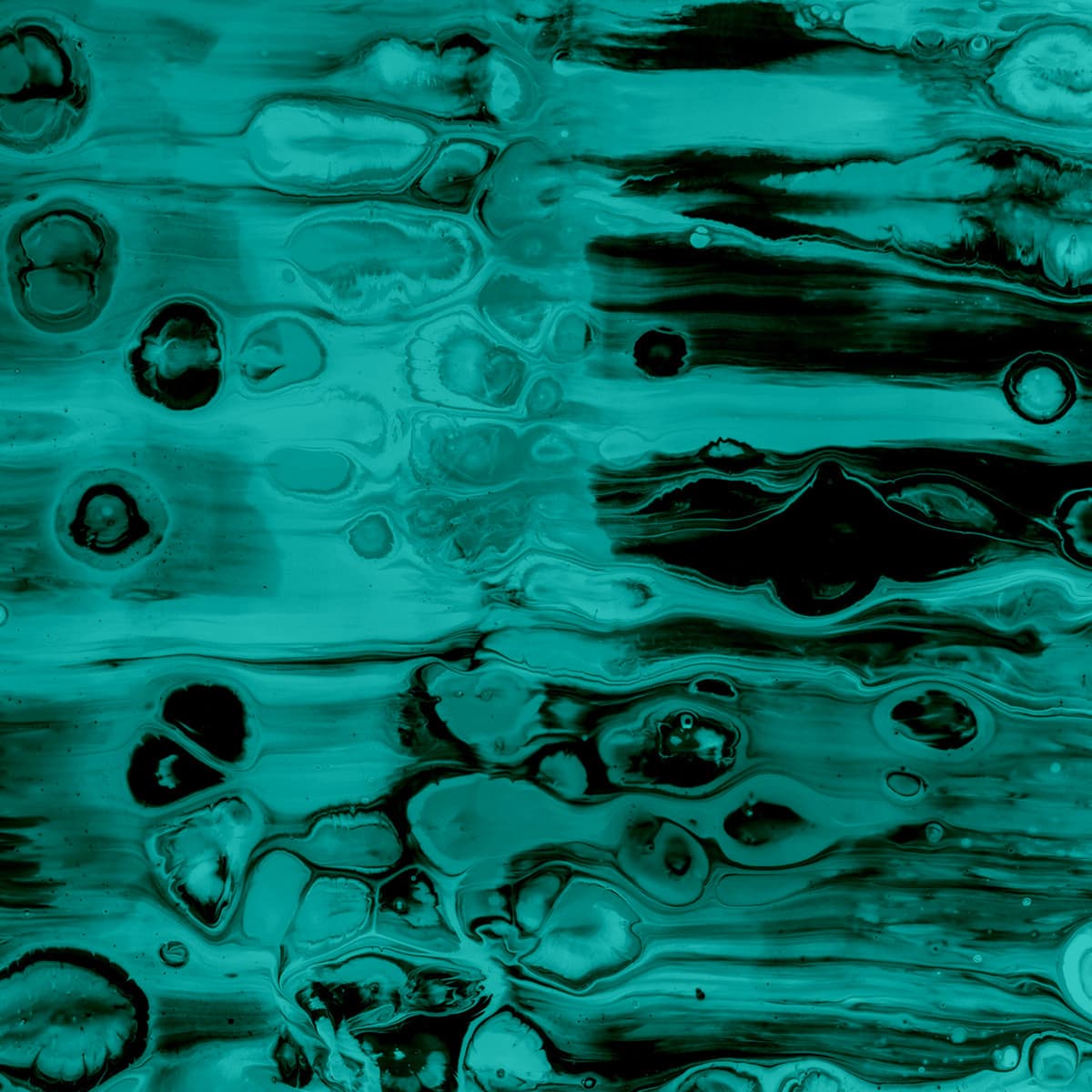 Cellular EP