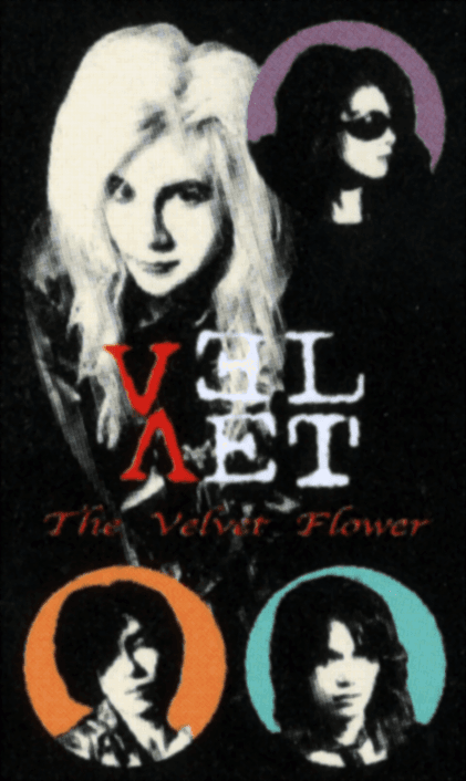 THE VELVET FLOWER