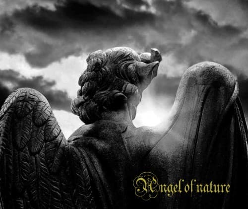 Angel of Nature