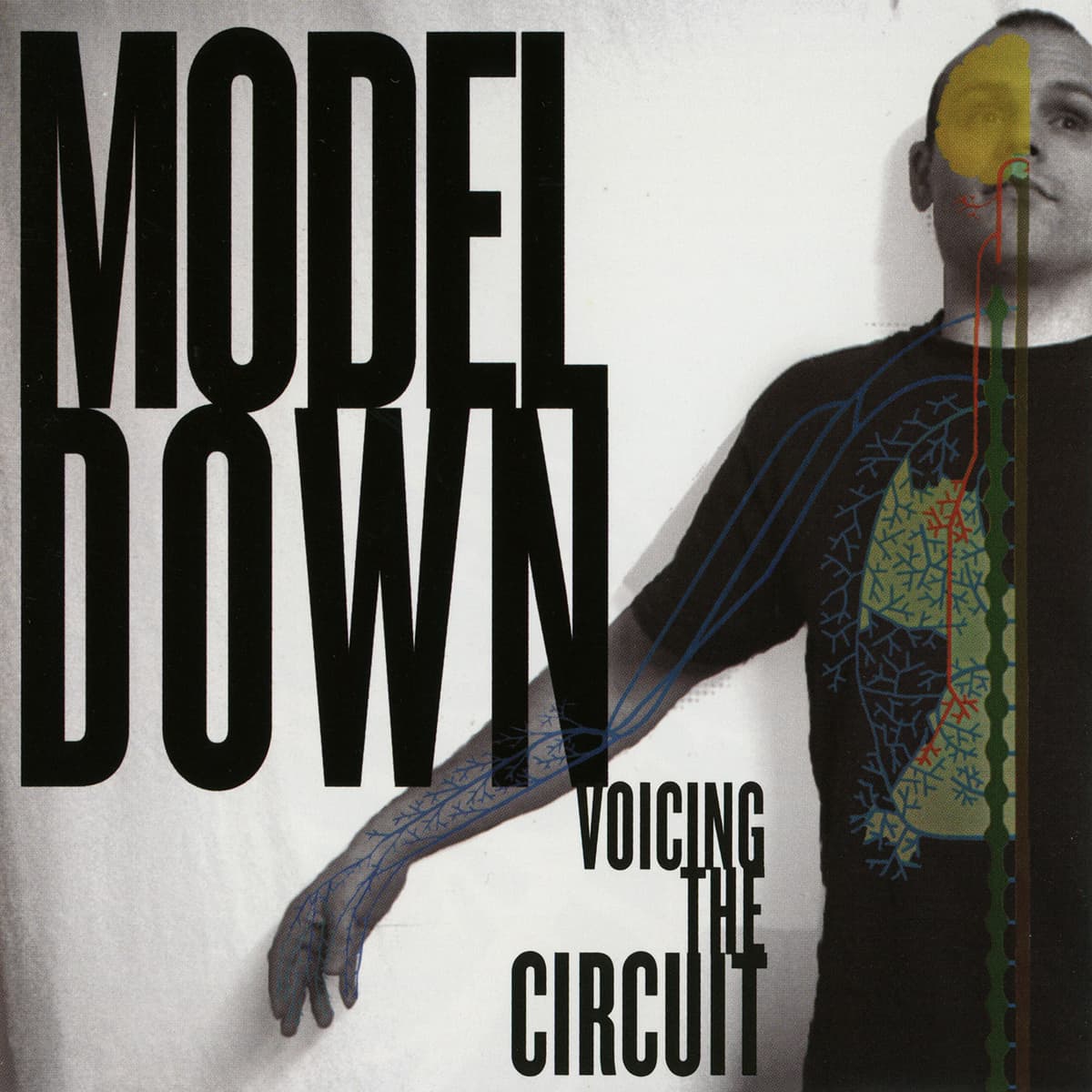 Voicing the Circuit