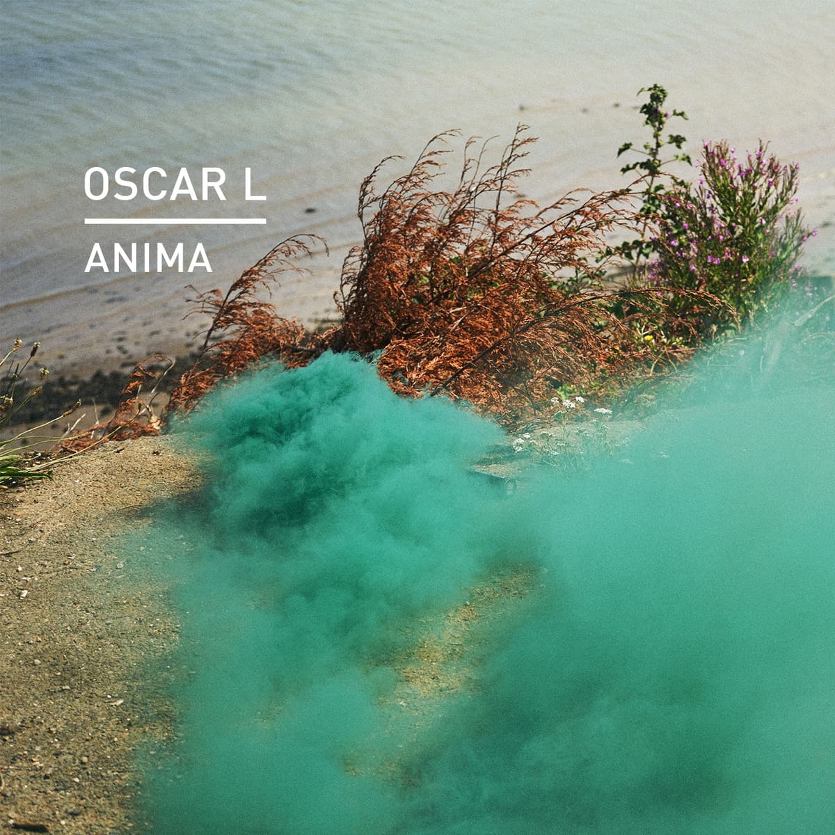 Anima