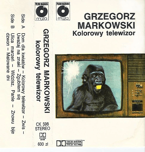 Kolorowy telewizor