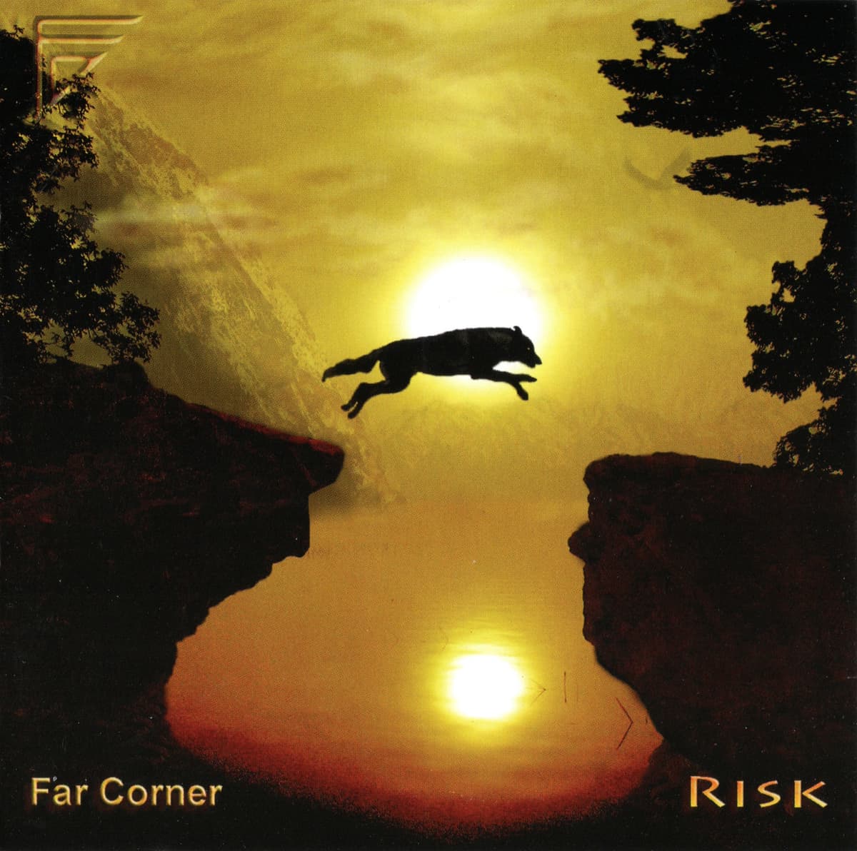 Risk