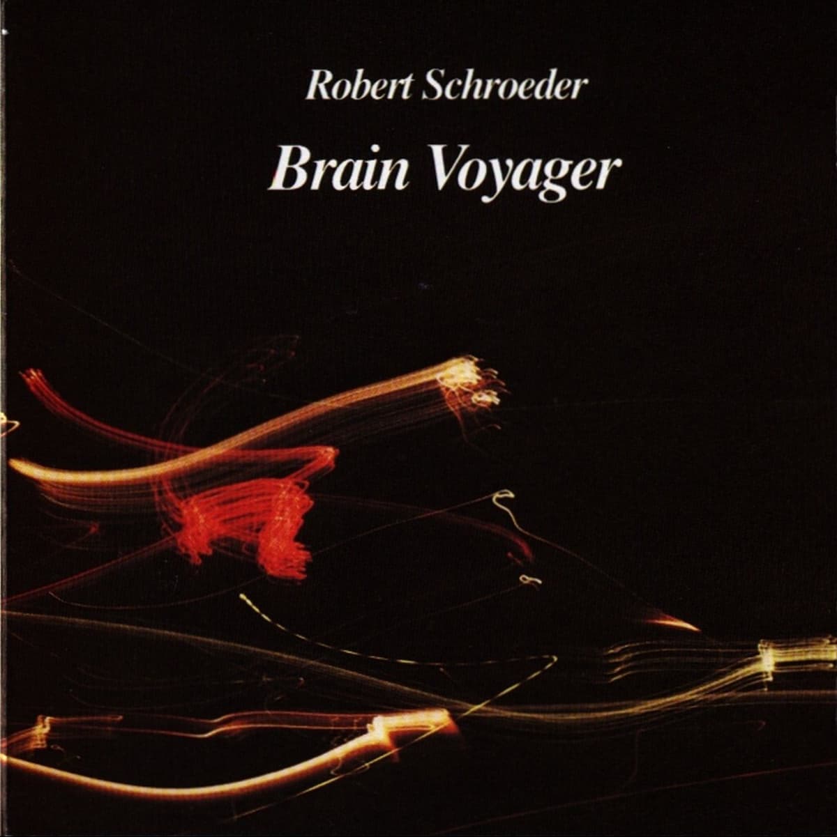Brain Voyager