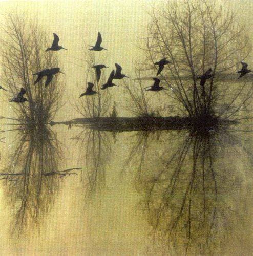 …Majestic Thou in Ruin