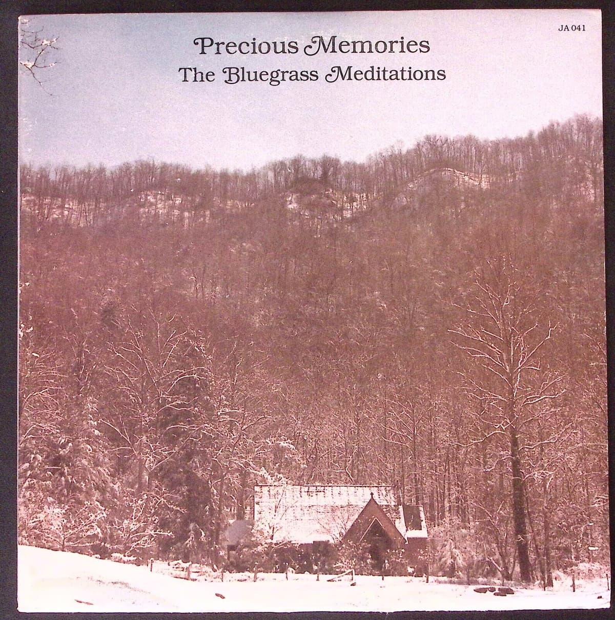 Precious Memories