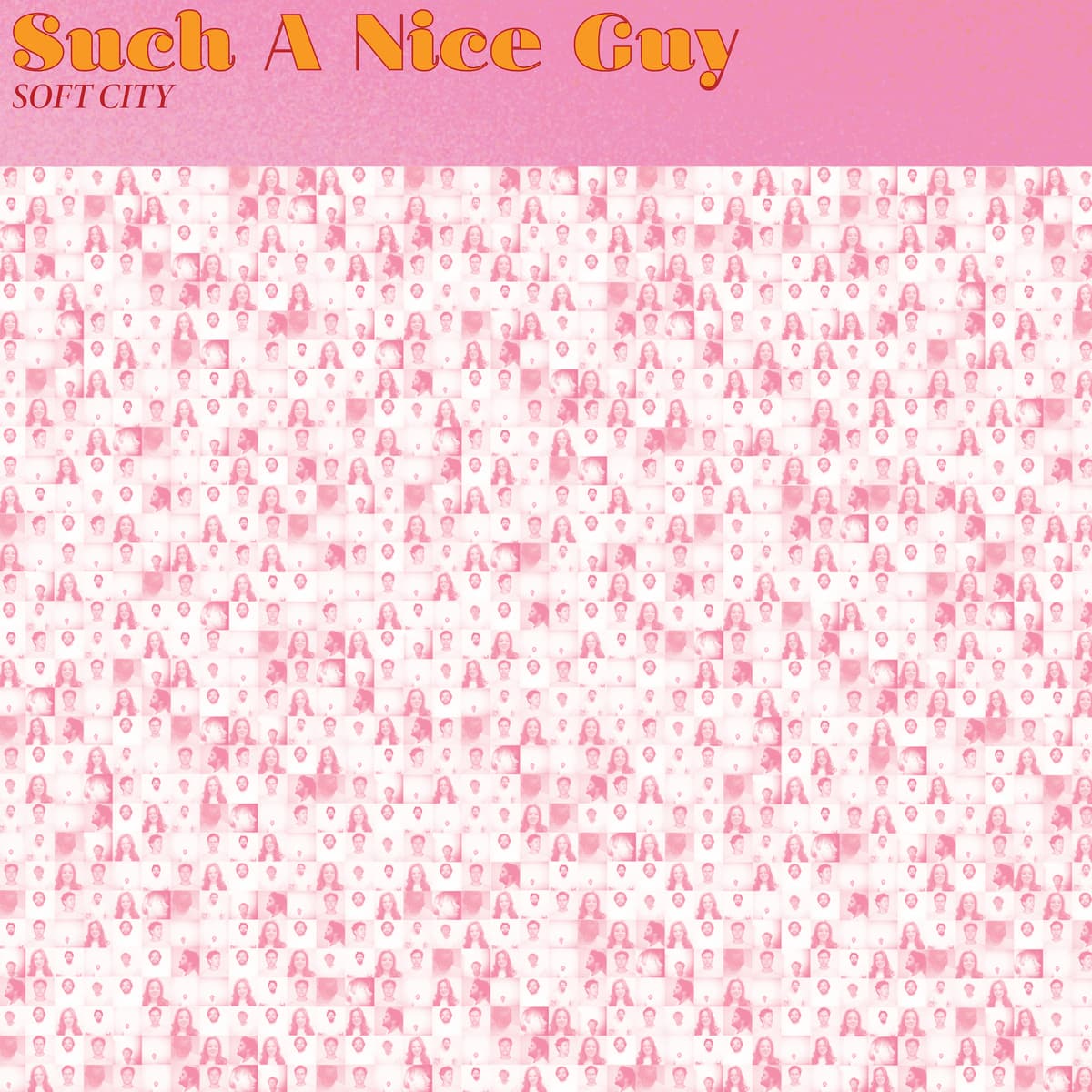 Such a Nice Guy