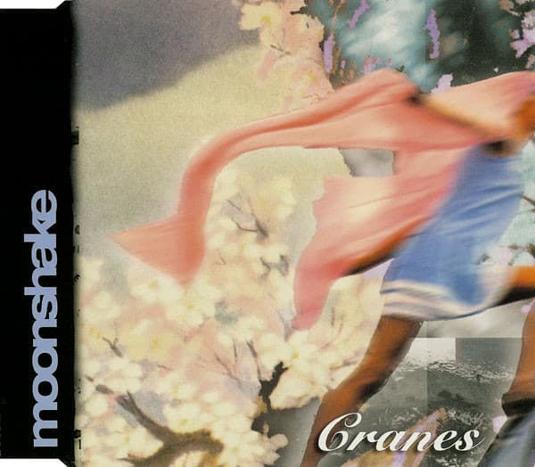 Cranes