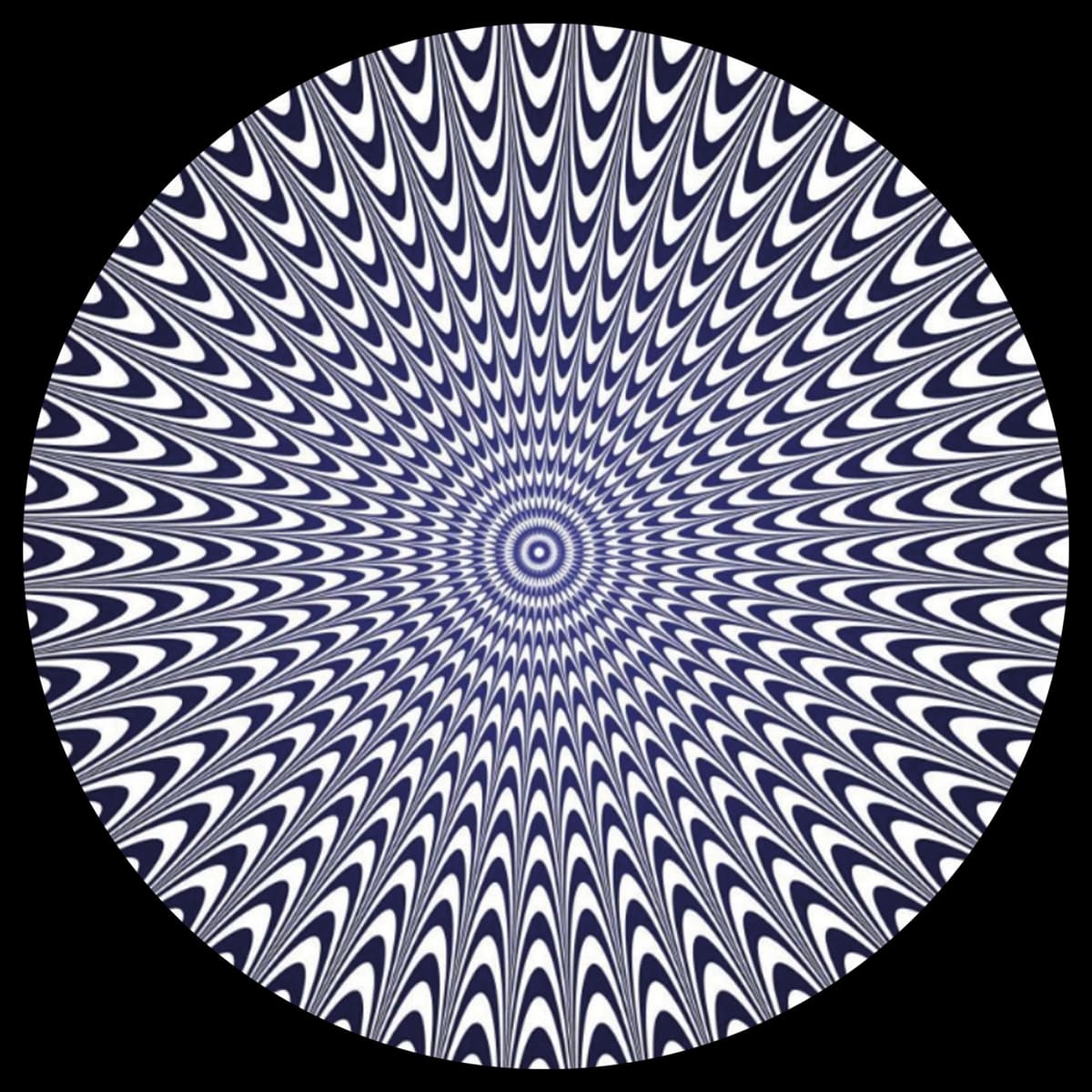 Hypnotizer EP