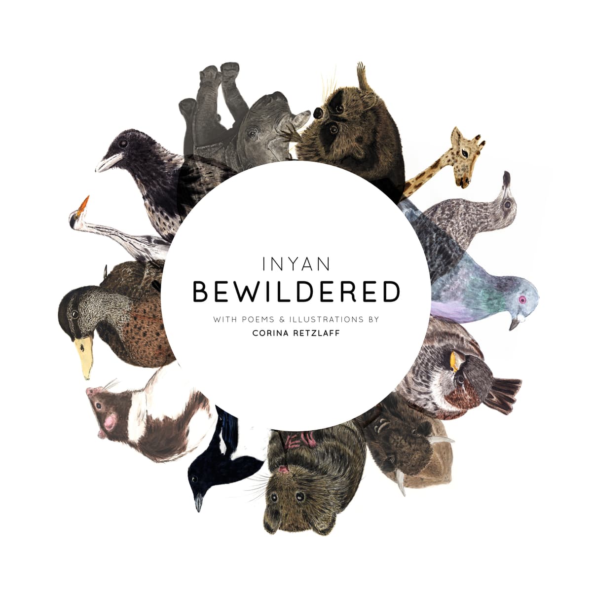 Bewildered