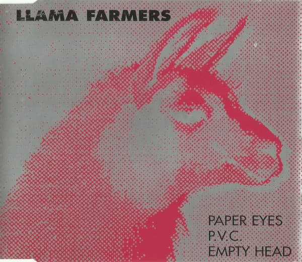 Paper Eyes