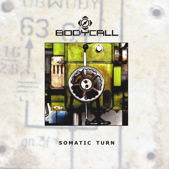 Somatic Turn