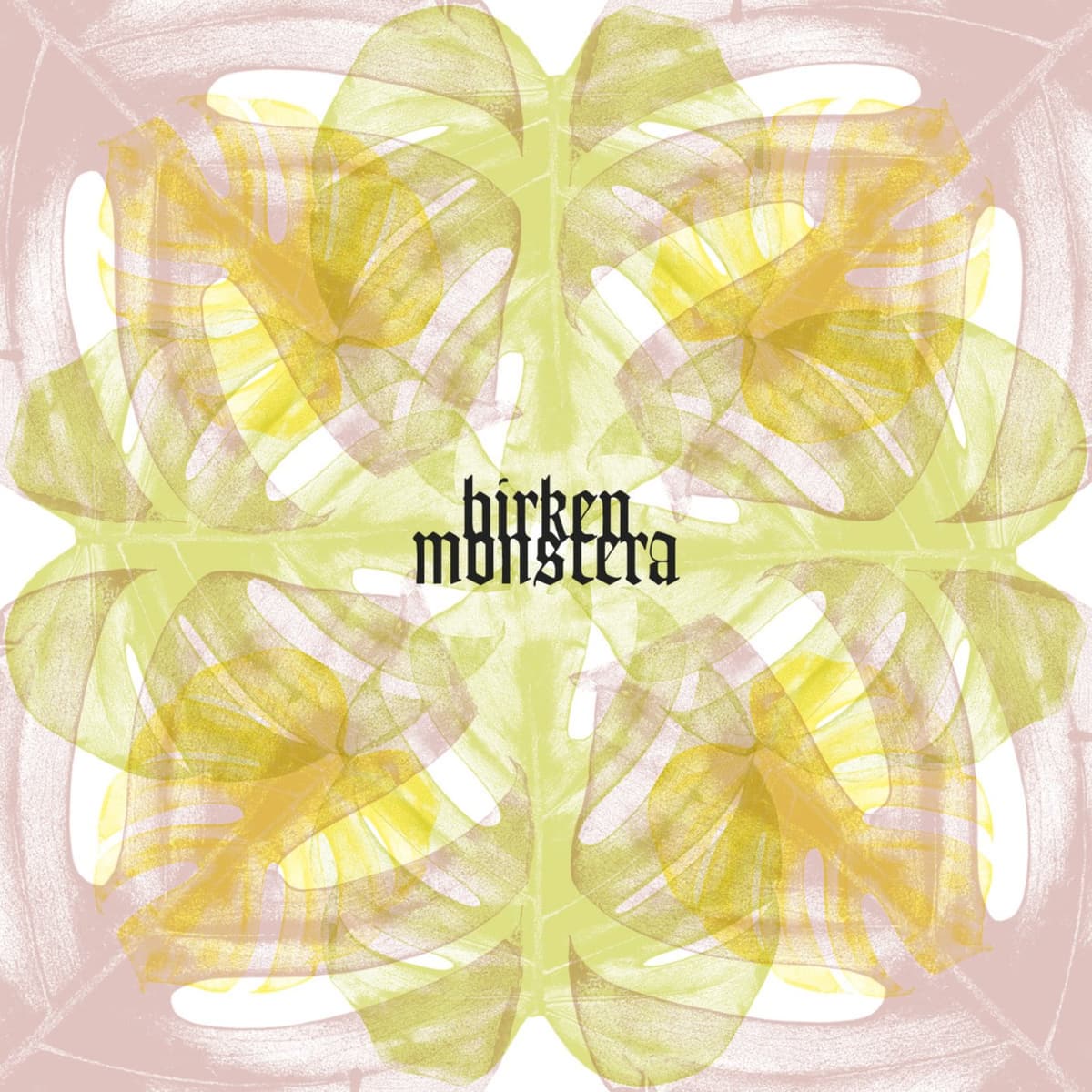 Monstera