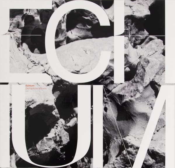 Disruptions of Form