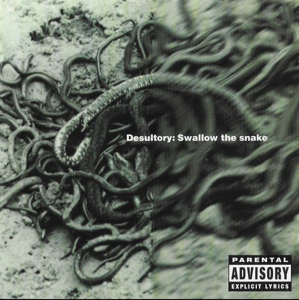 Swallow the Snake