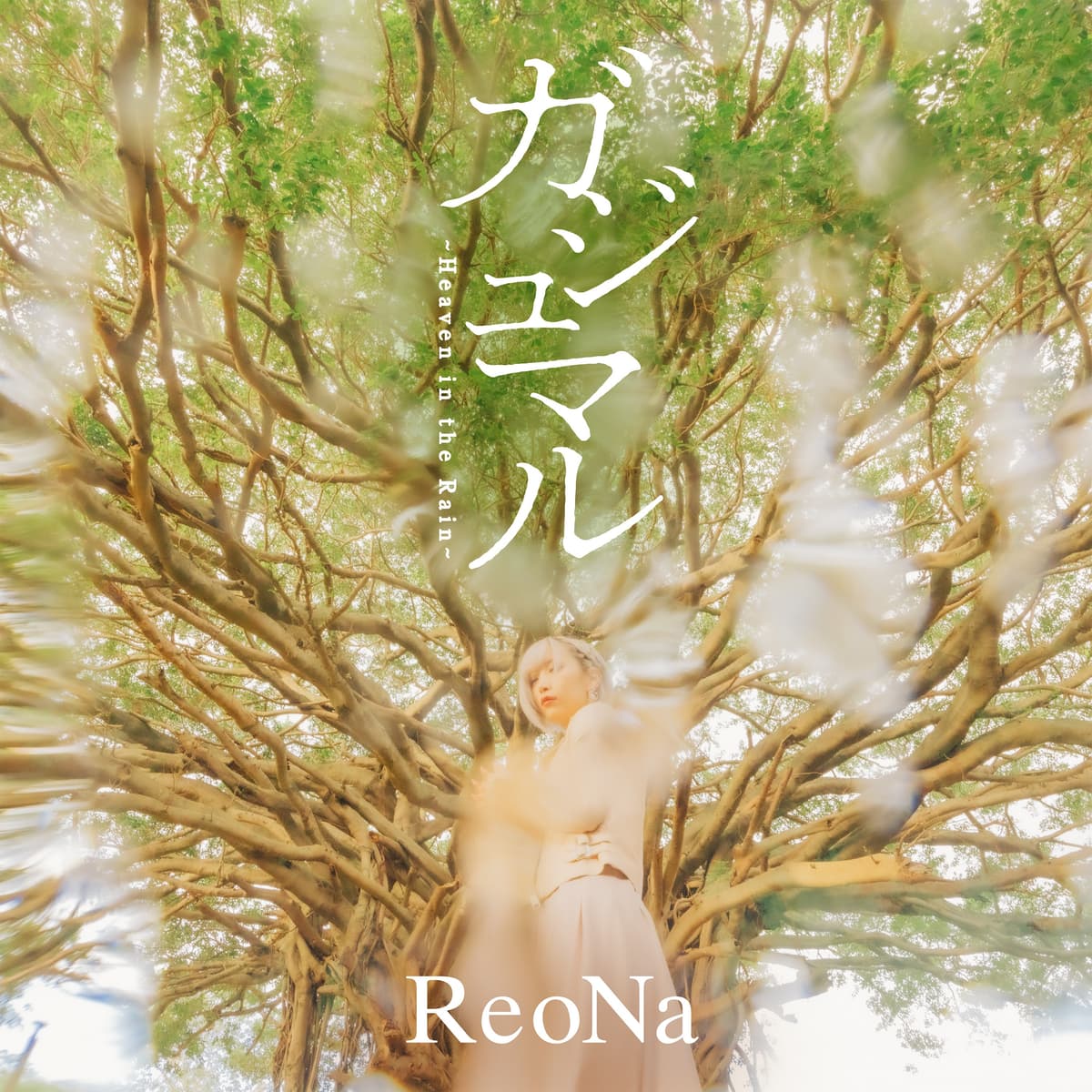ガジュマル 〜Heaven in the Rain〜