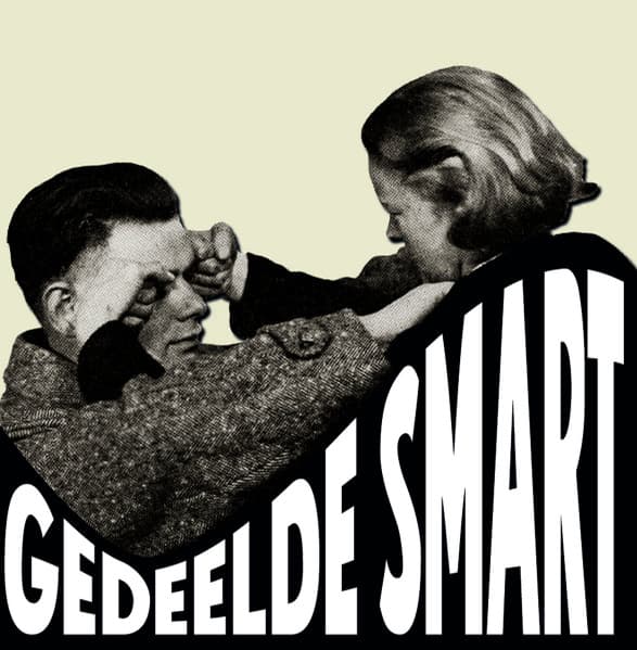 Gedeelde Smart