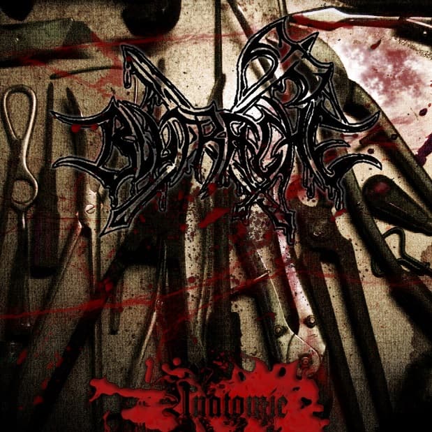 Anatomie / Kill All Fucking Gothic Bastards