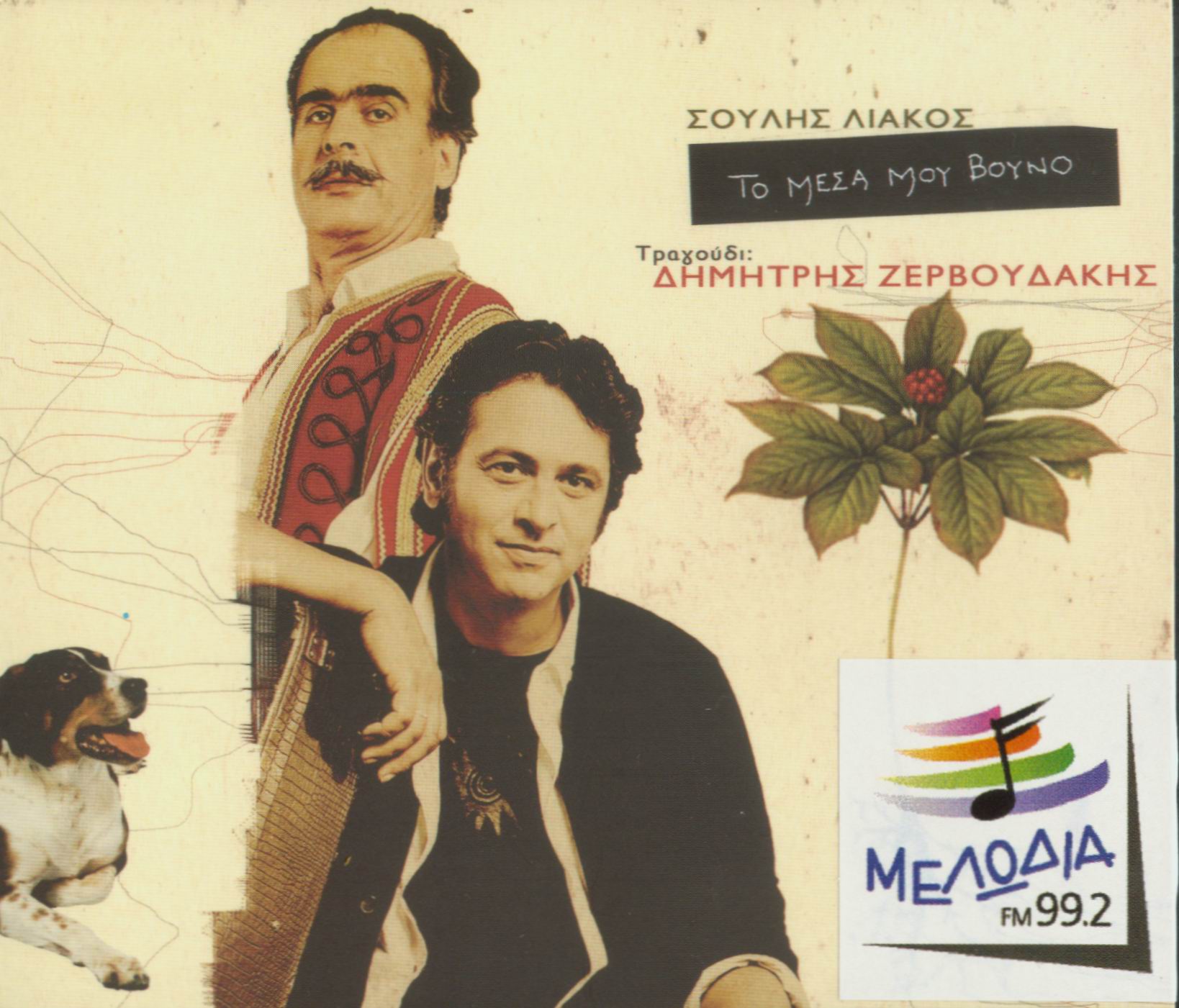 Το μέσα μου βουνό