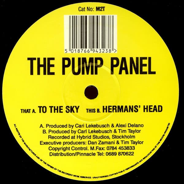 To the Sky / Herman's Head
