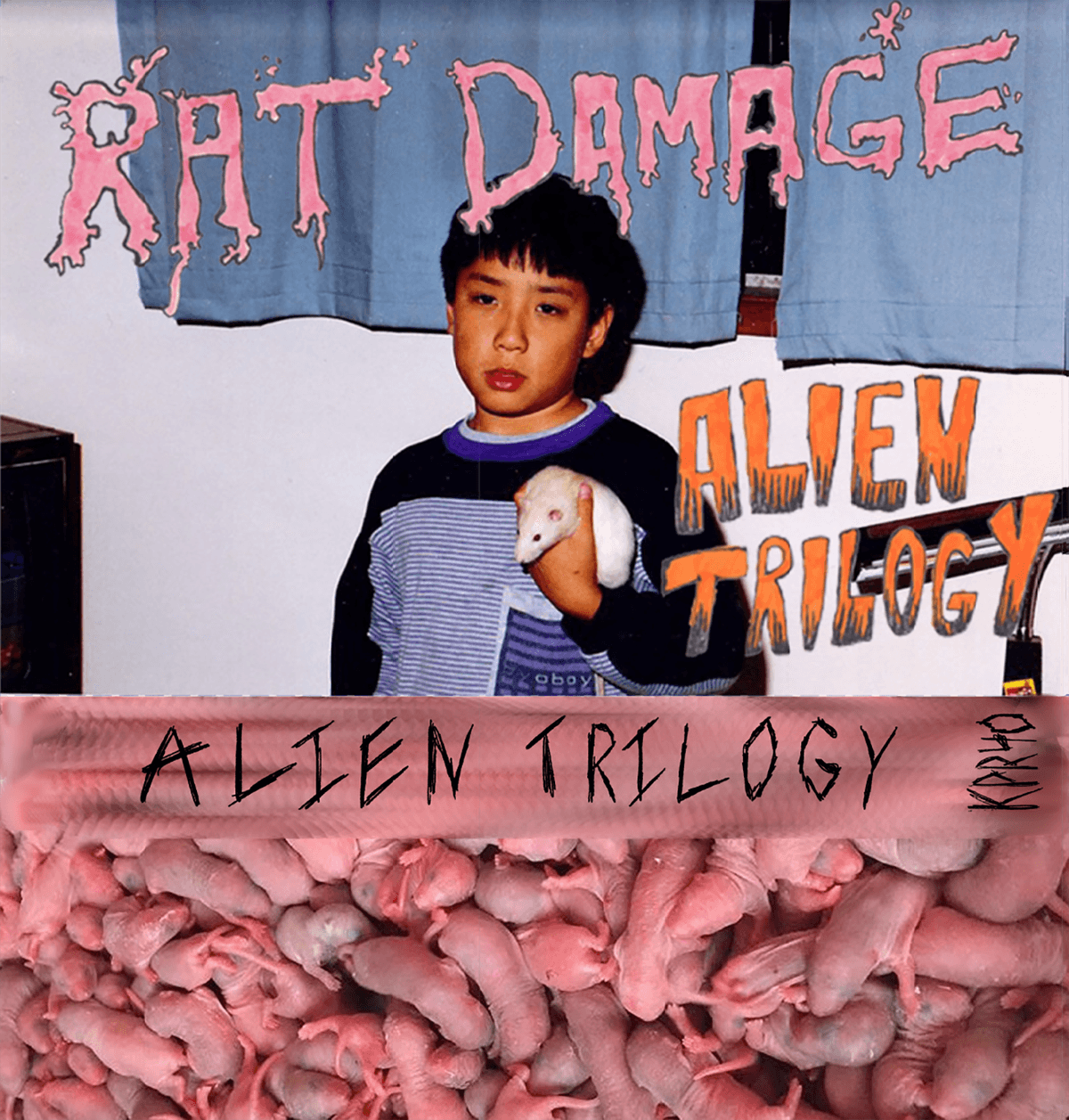 Rat Damage