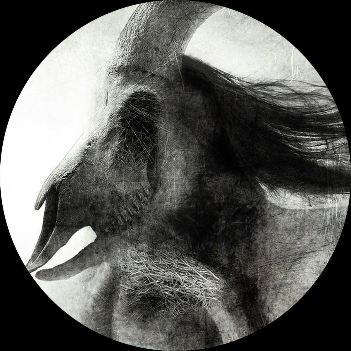 Colony EP