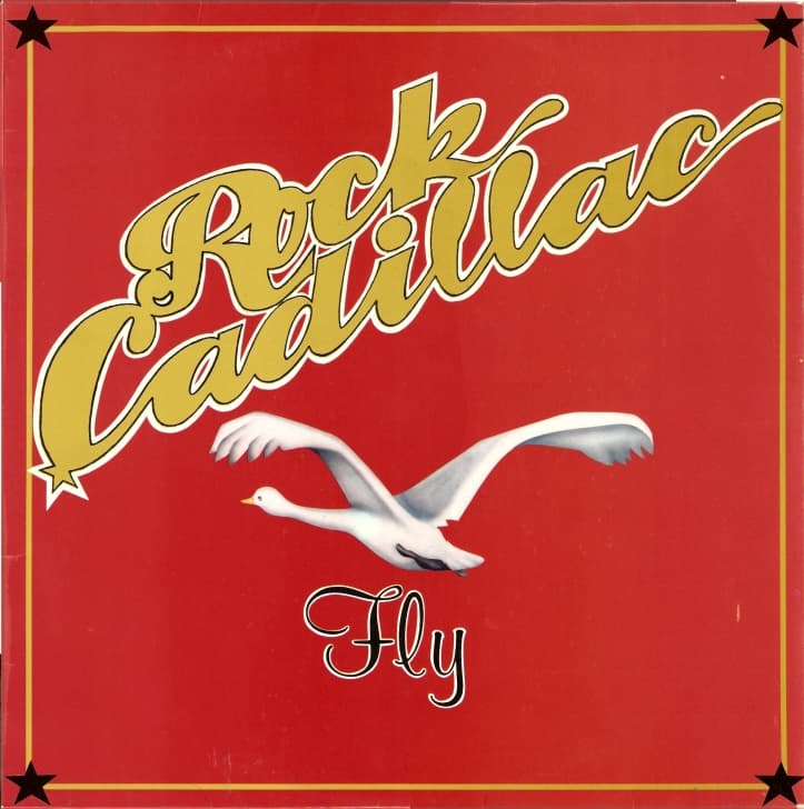 Fly
