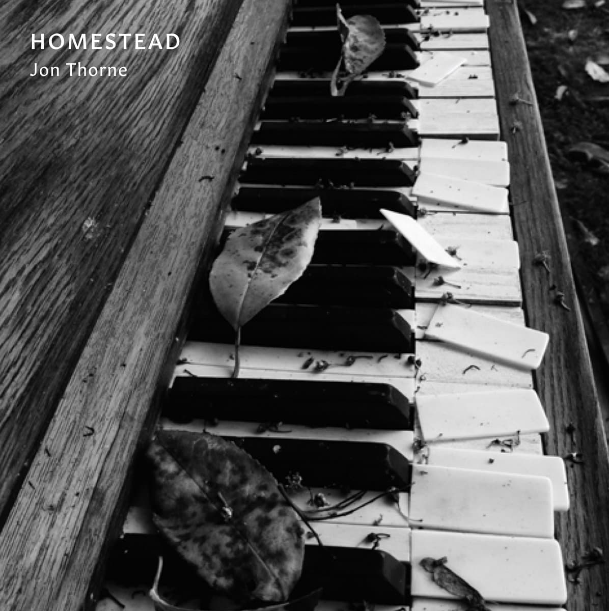 Homestead