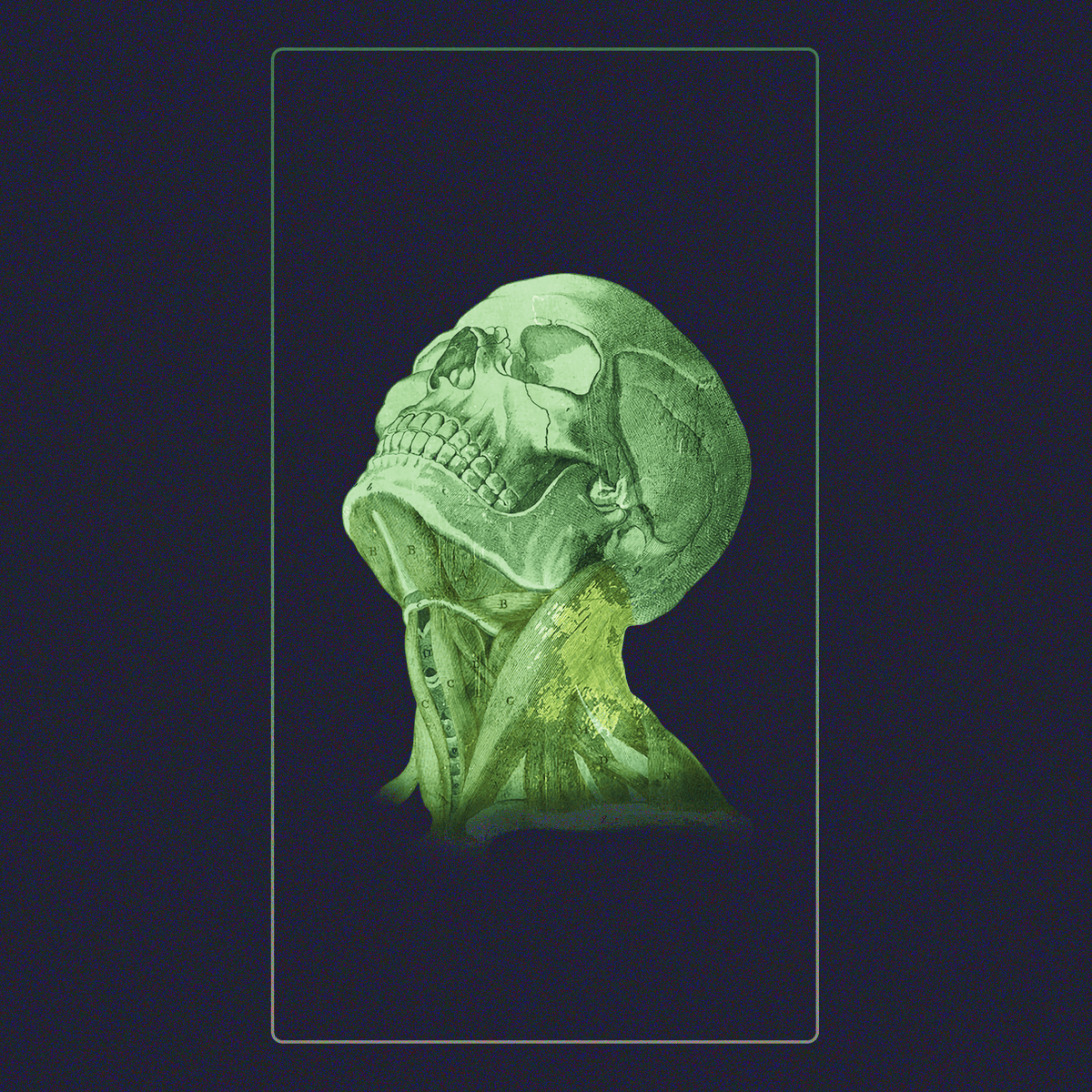Skeletal