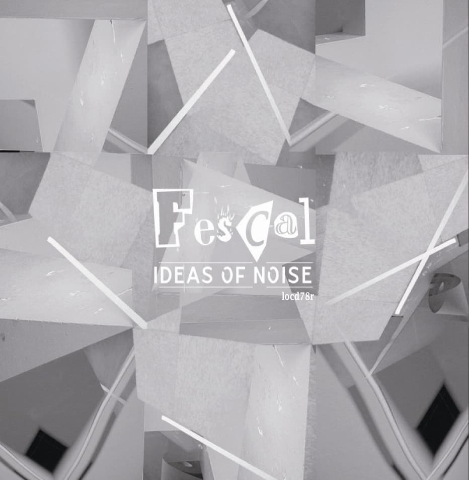Ideas of Noise