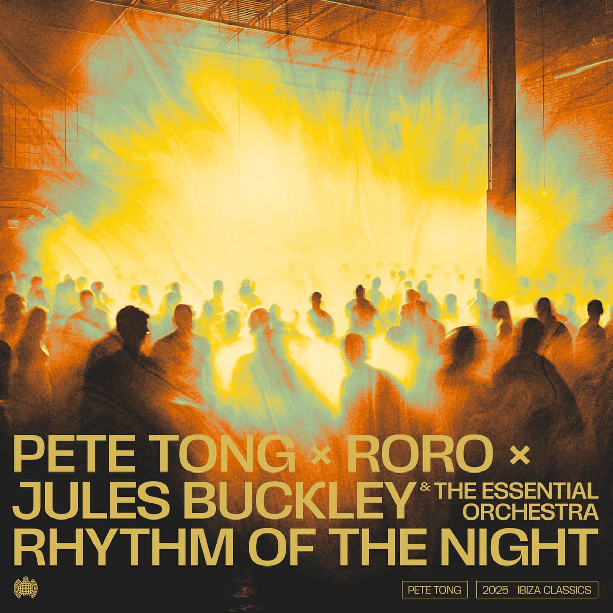 Rhythm of the Night