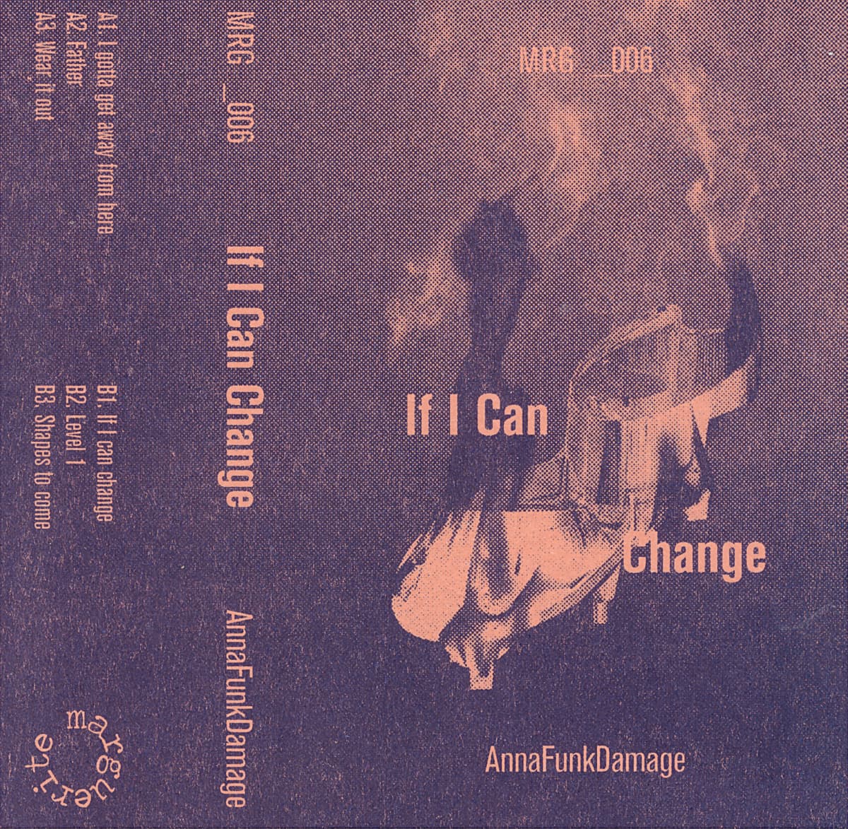 If I Can Change