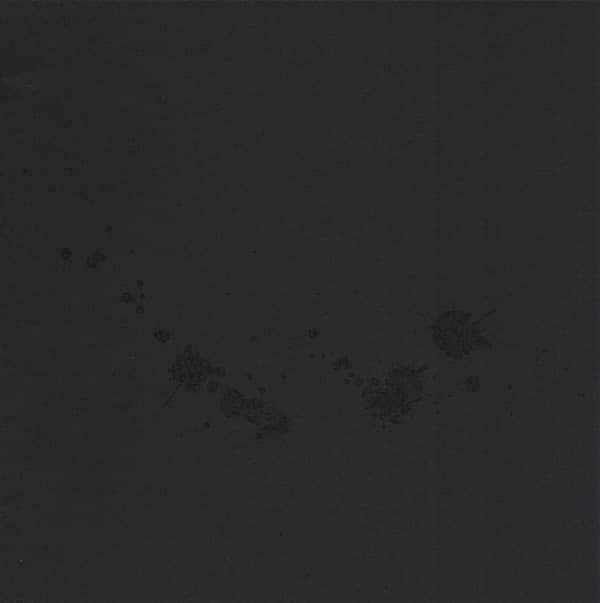 Songs For The Victims (From A Decaying Country)