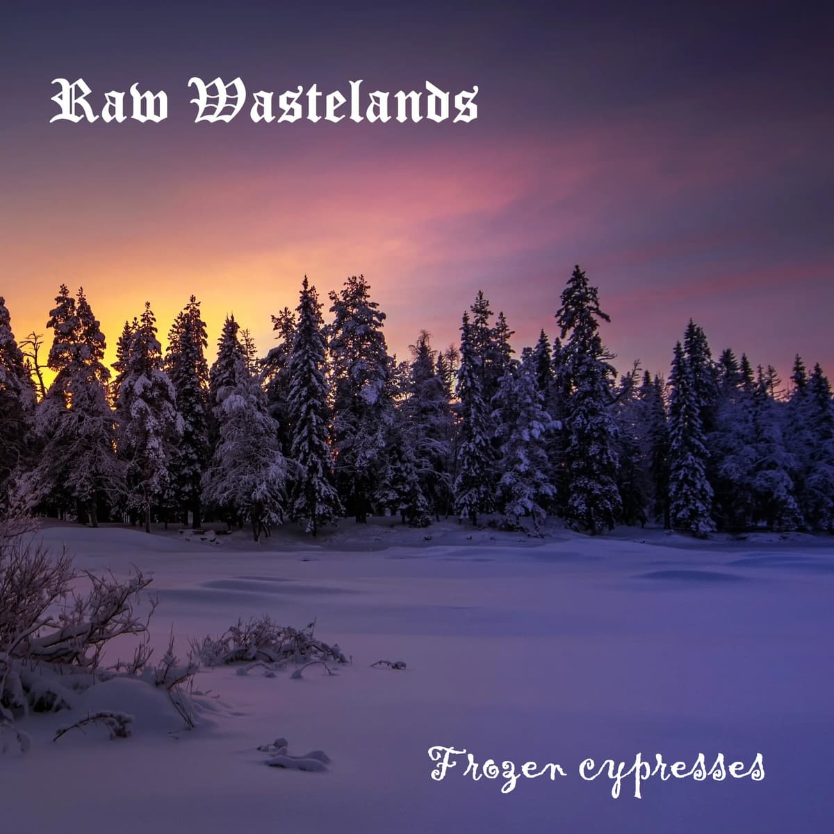 Frozen Cypresses