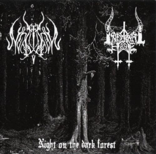 Night on the Dark Forest