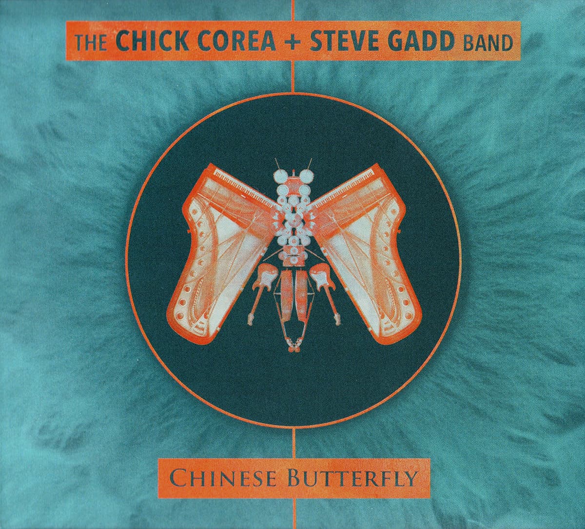 Chinese Butterfly