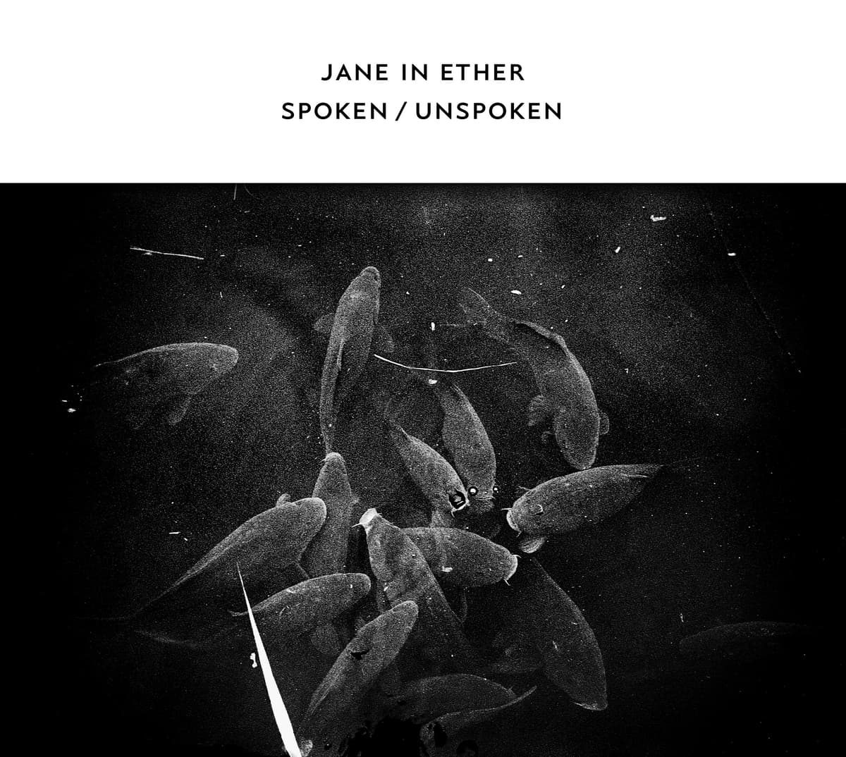 Spoken / Unspoken