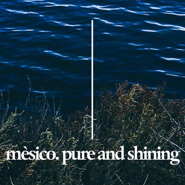 Pure And Shining