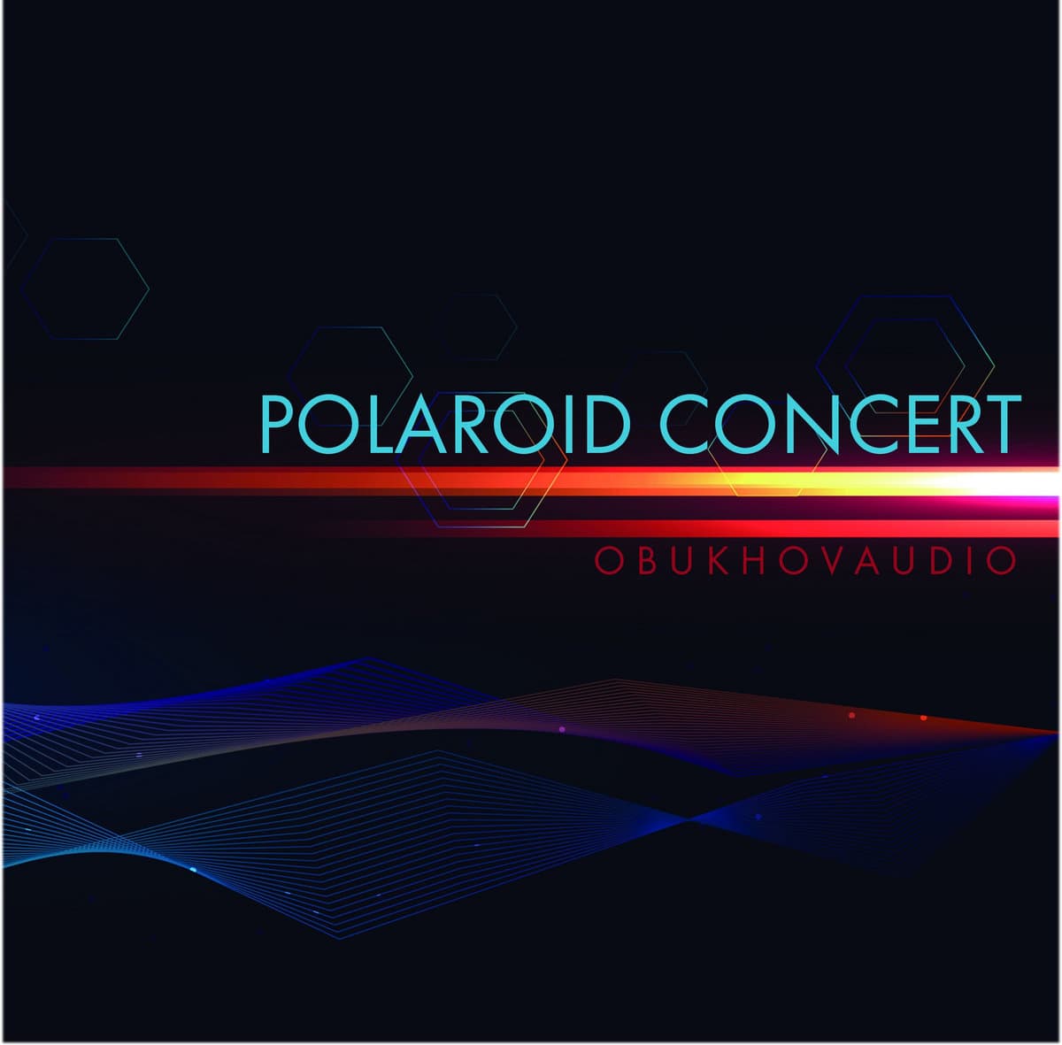 Polaroid Concert