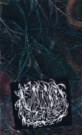 Allegory of Allergies