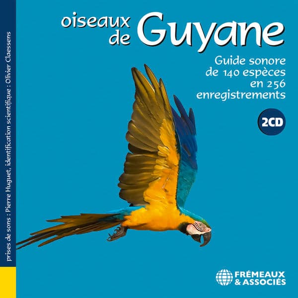 Oiseaux de Guyane