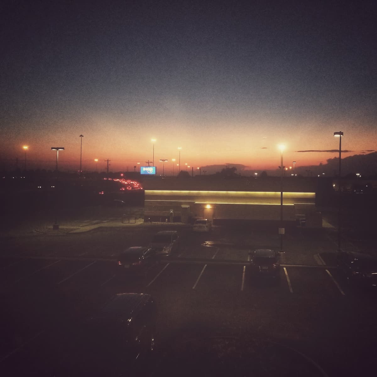 Before It All Disappears