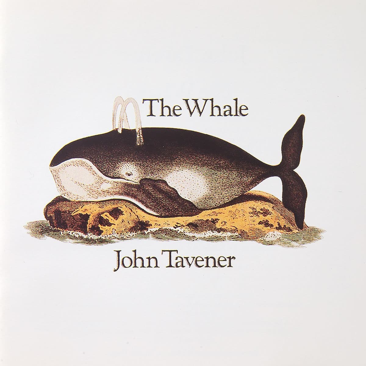 The Whale