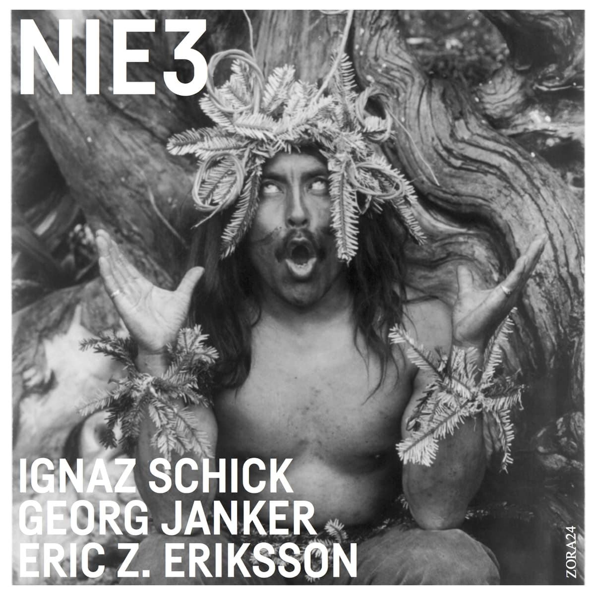 NIE3